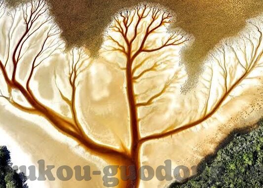 麻豆av一区二区在线观看-麻豆av一区二区—网络视听世界的多元化探索
