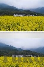 麻豆传媒国产精品-探索本土影视艺术的新高度，麻豆传媒国产精品的独特魅力