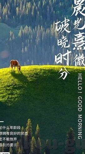 麻豆集团传媒-麻豆集团传媒的多面探访，从创意到成功的革新之路