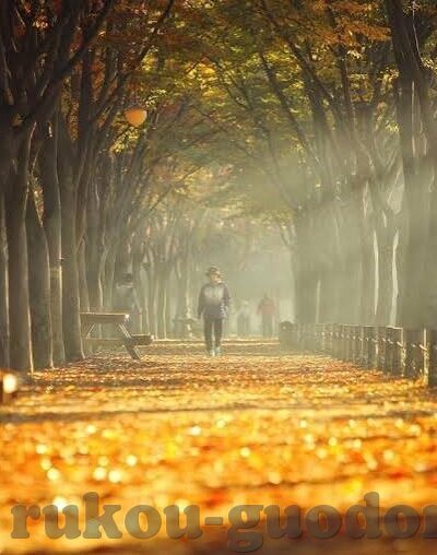 糖心app苹果版下载安装-选择自然的甜，糖心App的苹果版使用探索
